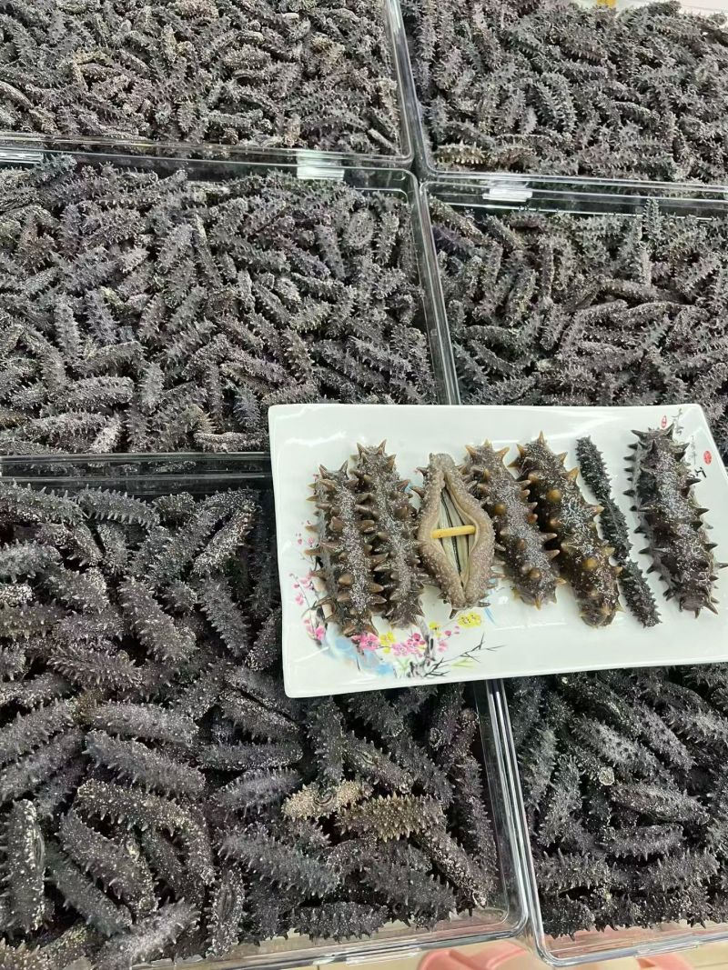 威海本地，野生大海参