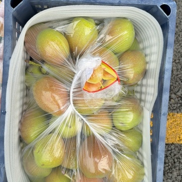 红香酥