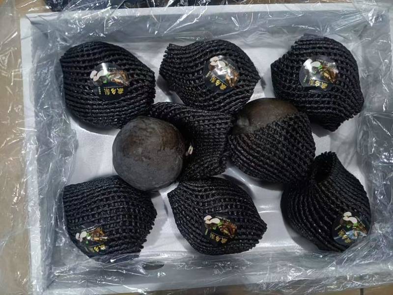 藏乌梨，