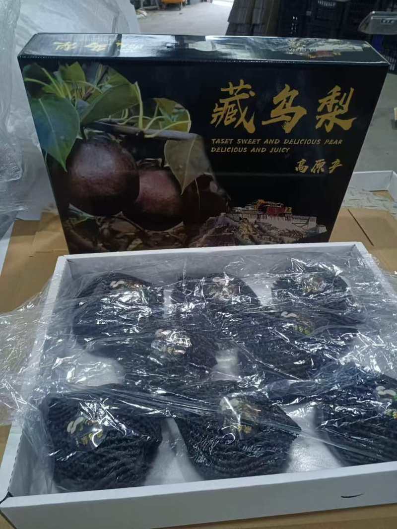 藏乌梨，