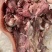 全网低价熟牛头肉原产地直供随时有货新鲜上市全国可直达发货方