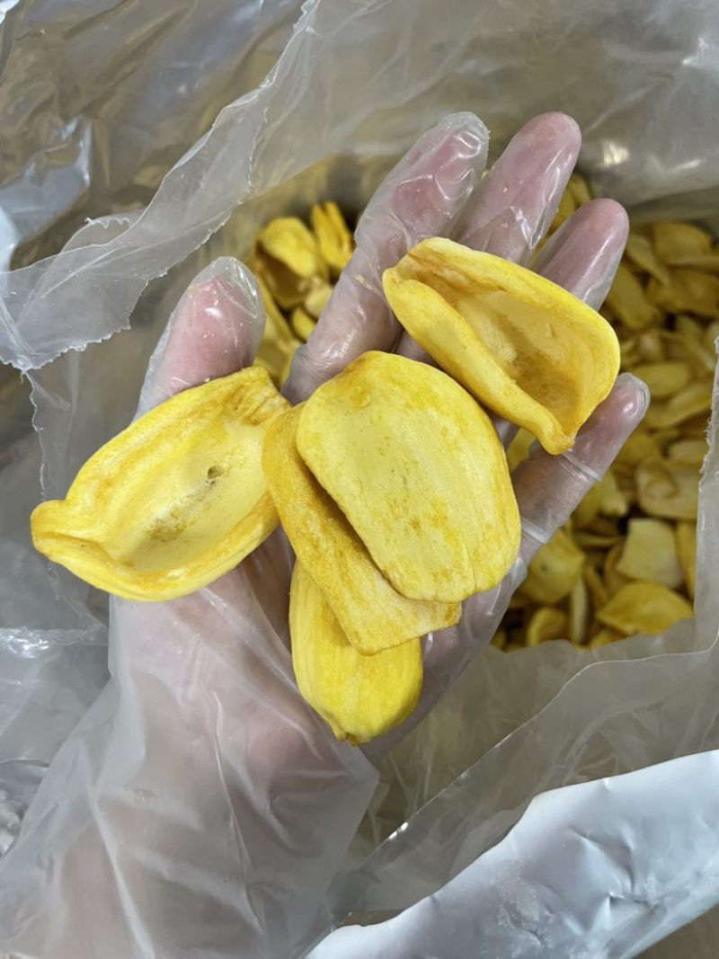 A菠萝蜜干脆片香脆可口大片金黄原料批发价箱装发货