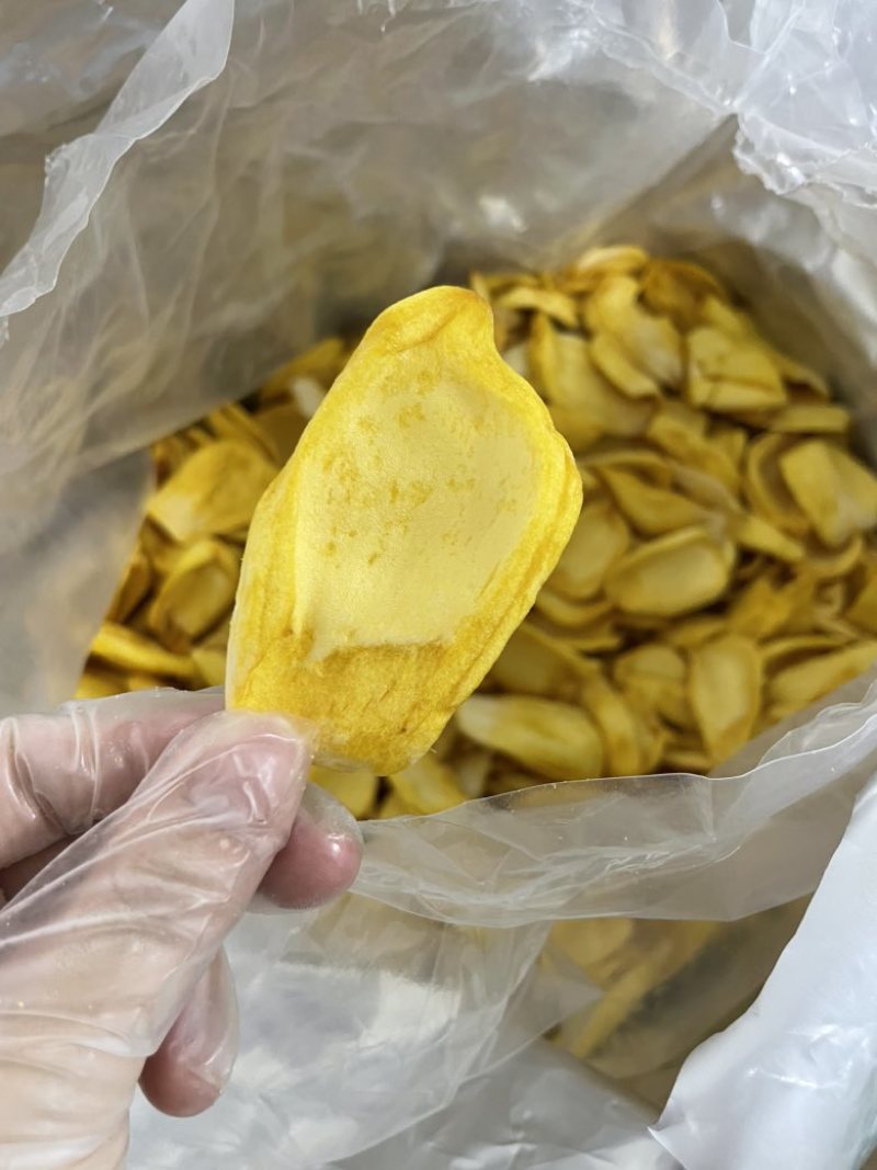 A菠萝蜜干脆片香脆可口大片金黄原料批发价箱装发货
