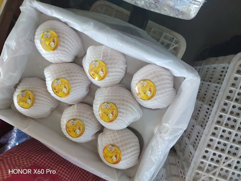 秋月梨