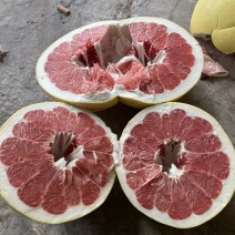 红心柚