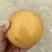山东莱西秋月梨高残