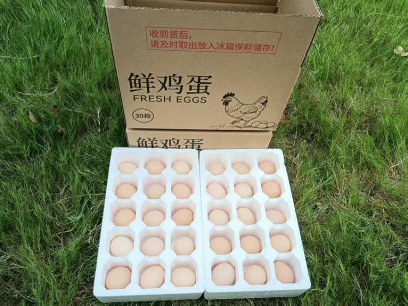 电商专用，一件代发服务