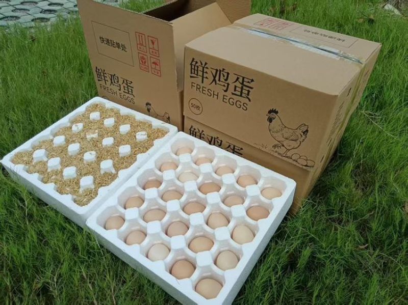 电商专用，一件代发服务