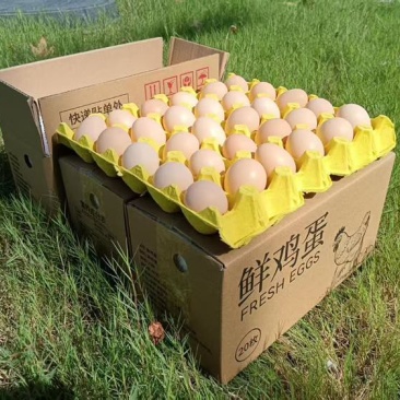 电商专用，一件代发服务