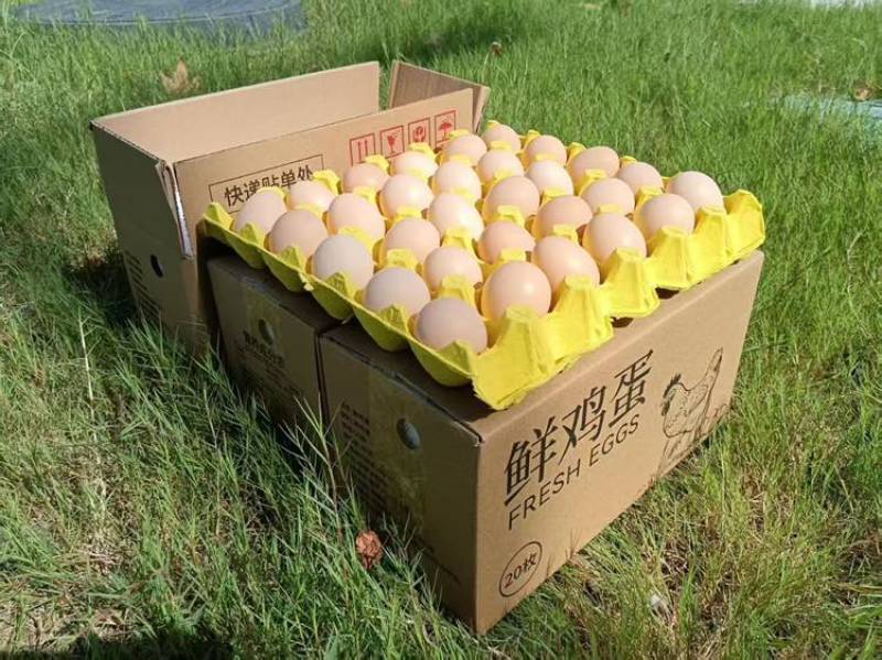 电商专用，一件代发服务