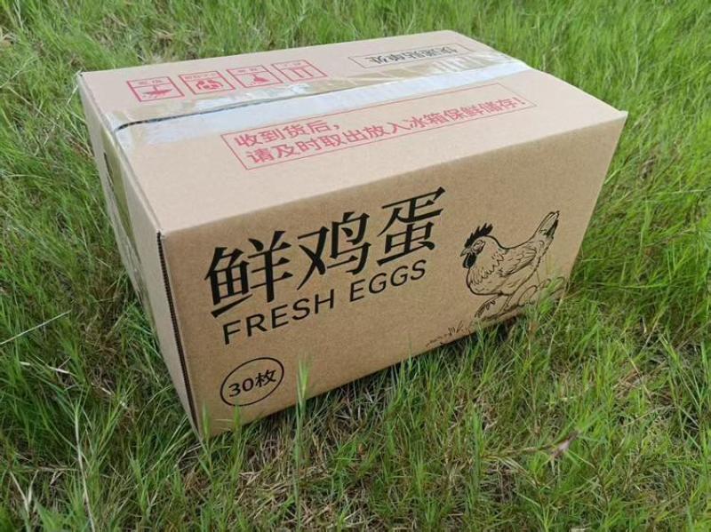 电商专用，一件代发服务