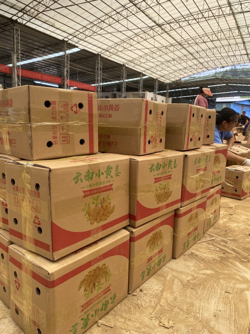 云南小黄姜产地直销长期供货（量大从优）