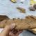 百年肉桂