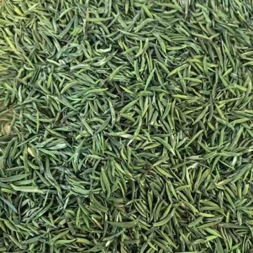 雀舌，竹叶青