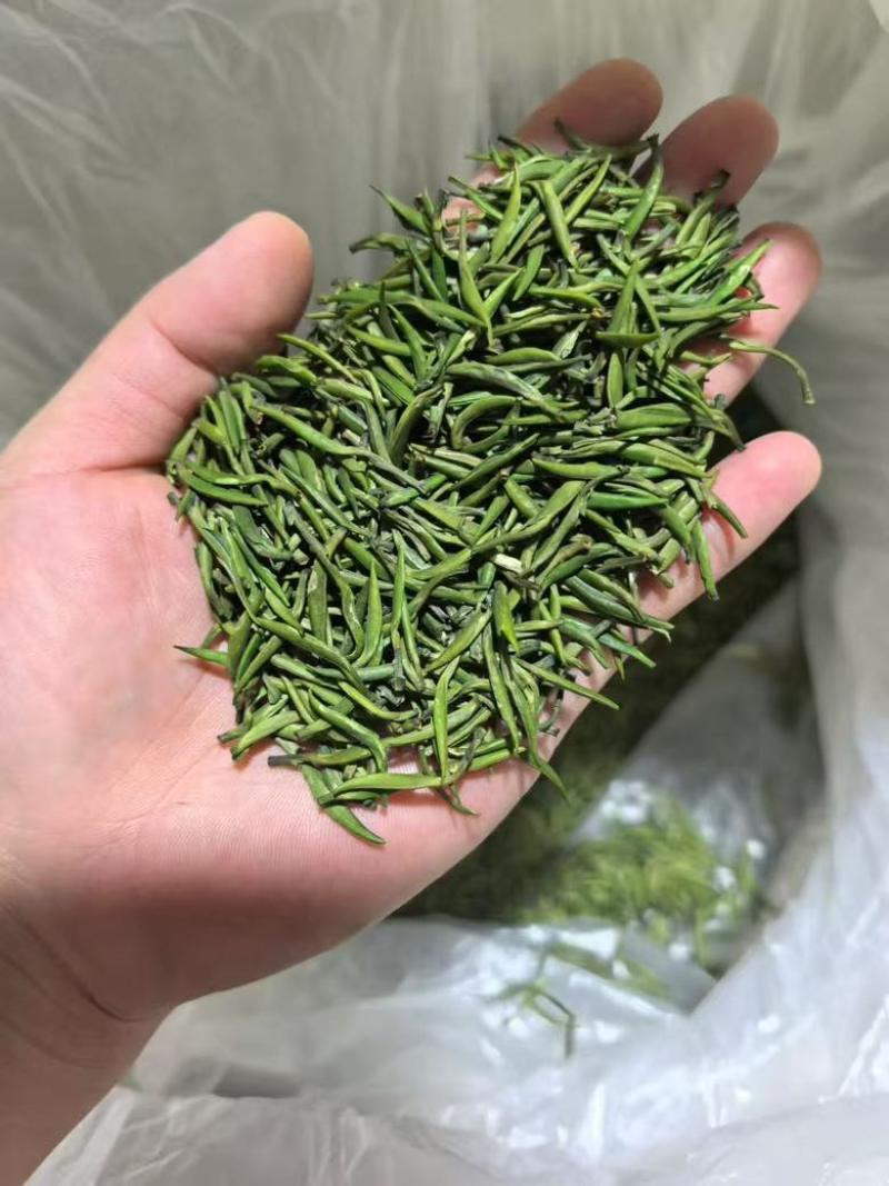 雀舌，竹叶青