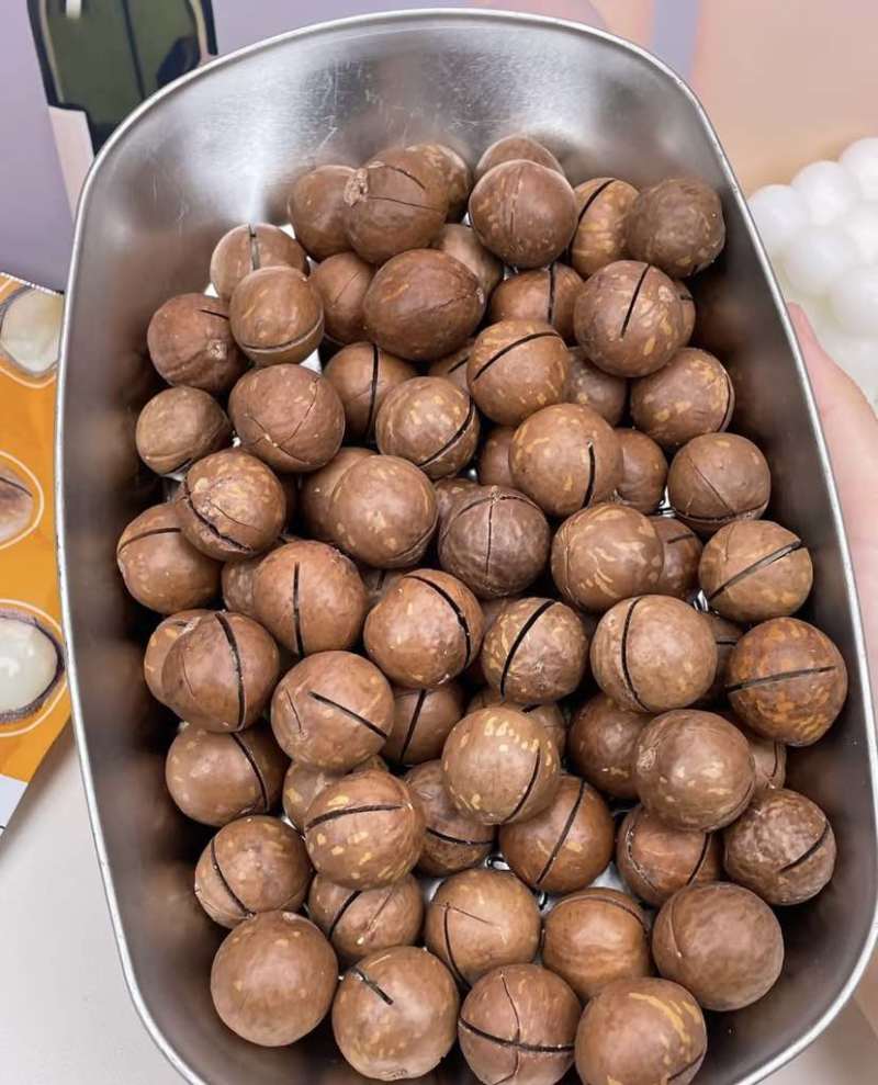 供应链夏威夷新果，价格比去年低，规格齐全