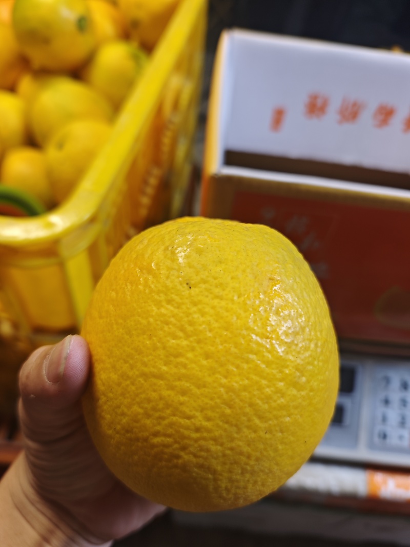2025年正宗的江西赣南脐橙支持一件代发批发社区团购
