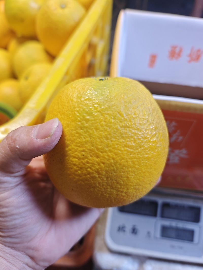 2025年正宗的江西赣南脐橙支持一件代发批发社区团购