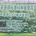 出售草珊瑚种苗