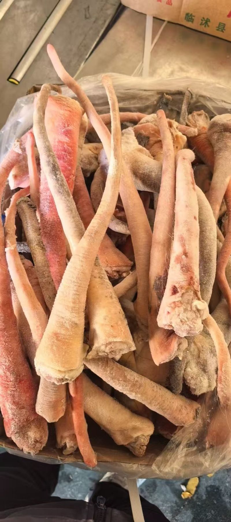二级肥猪尾巴厂家直销质量保证价格便宜