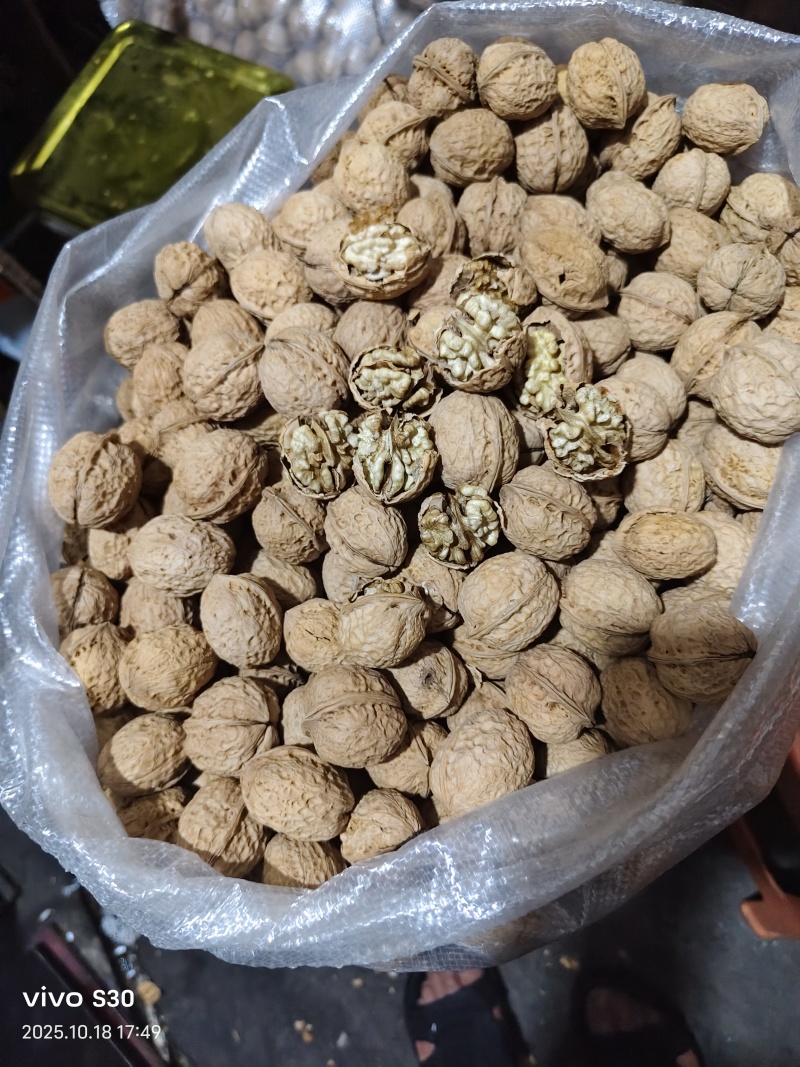 核桃