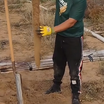 银川白玉