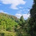农家高山土蜂蜜***，无任何添加