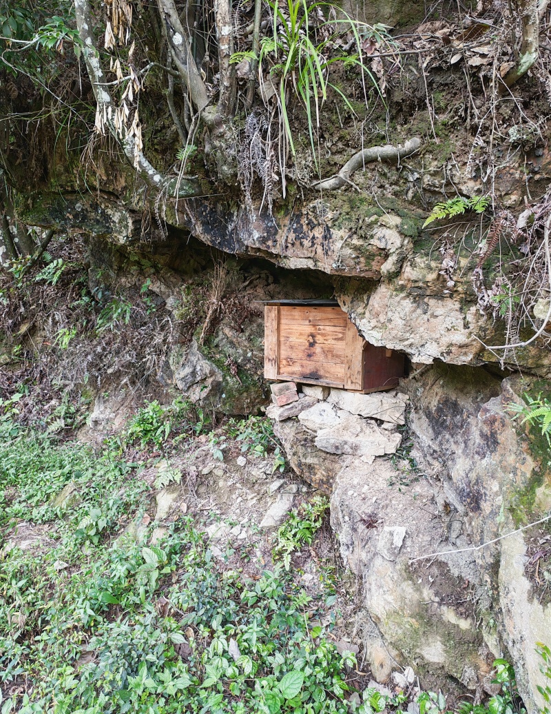 农家高山土蜂蜜***，无任何添加