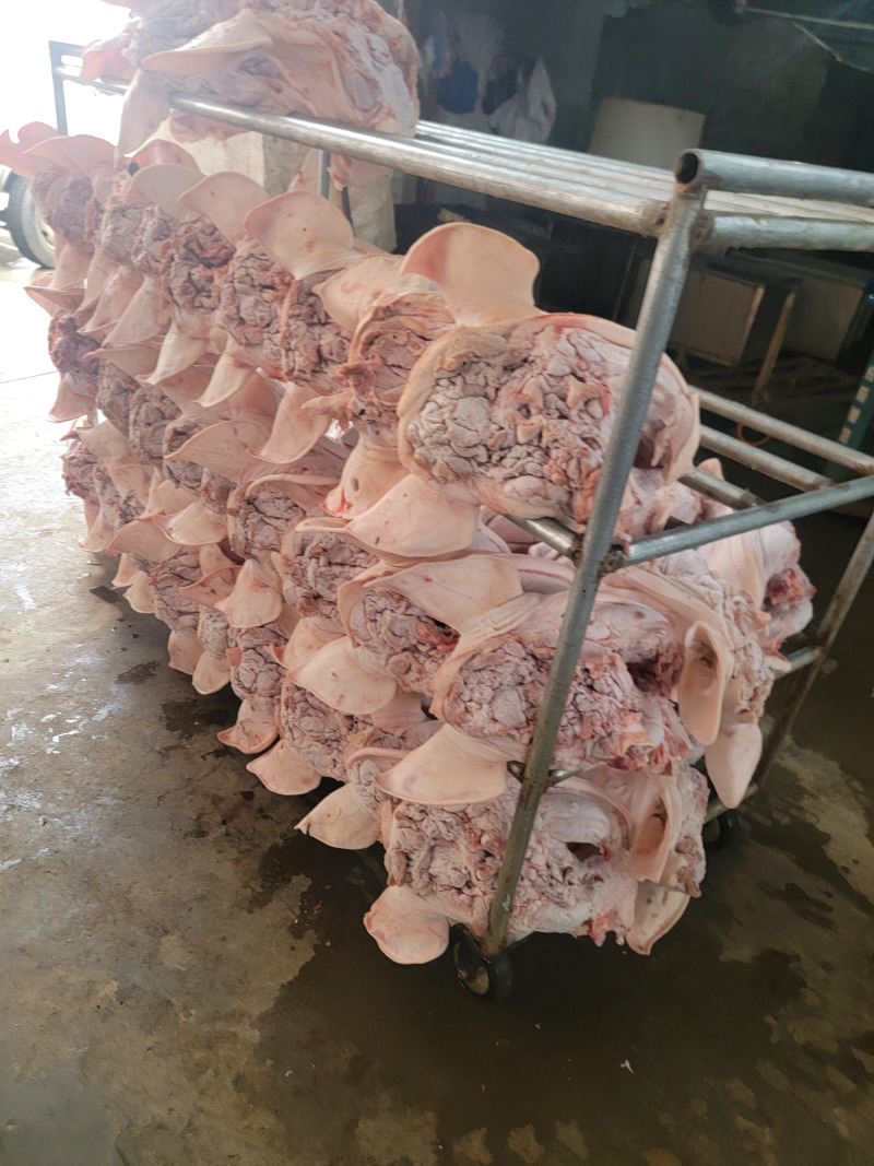 农副产品：猪头、猪蹄、猪尾、护心肉、心肝肺、舌尖等