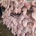 农副产品：猪头、猪蹄、猪尾、护心肉、心肝肺、舌尖等