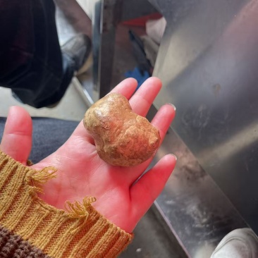 羊黄有三四年了宰了几十万只羊出了两个一个8克多一个