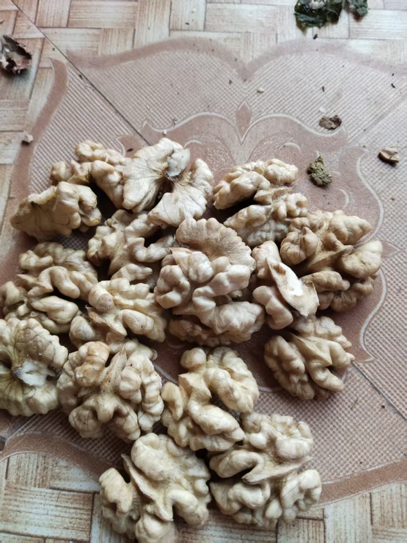 云南大理无量山纸皮核桃