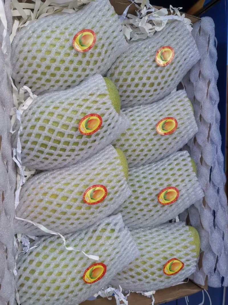 大量稳定供应金煌芒，贵妃芒，小台，电商货，市场货