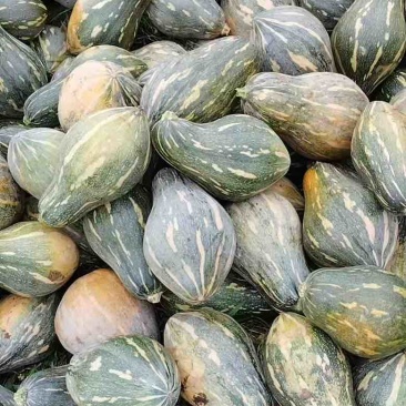 广东香芋南瓜