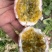 百香果安哥11号纯甜蜜桃香味统果果径60起