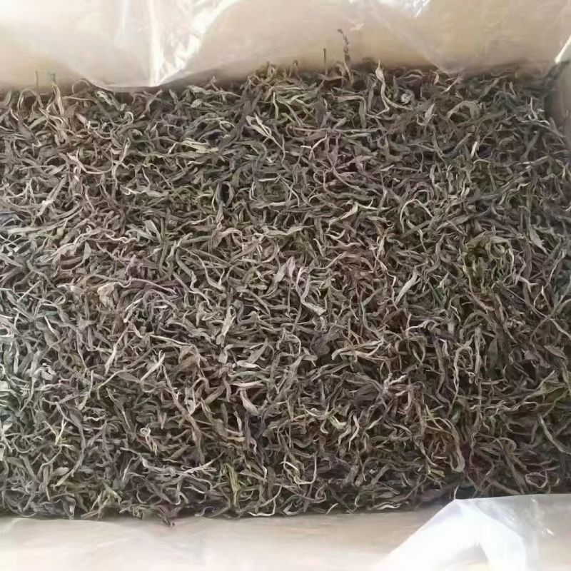 2025年普洱茶