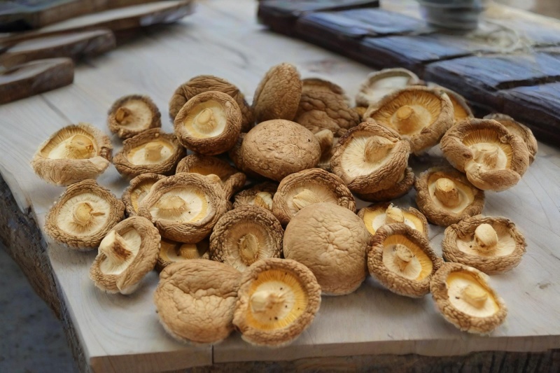自产自销，******食用鲜香菇