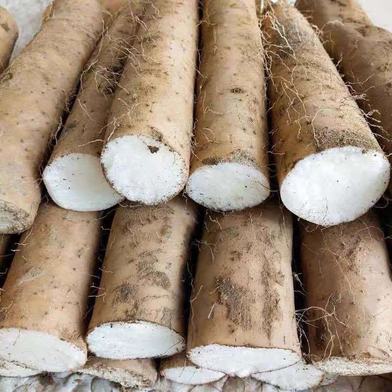 贵州山药电商一件带发顺丰发货欢迎电商对接，24小时发货