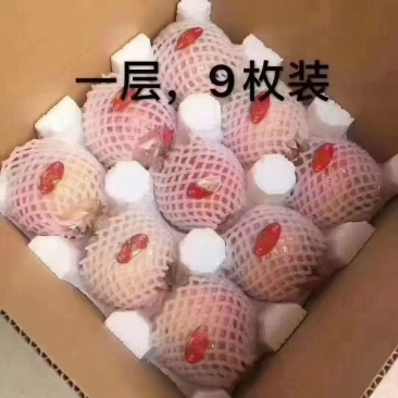 正宗临潼石榴