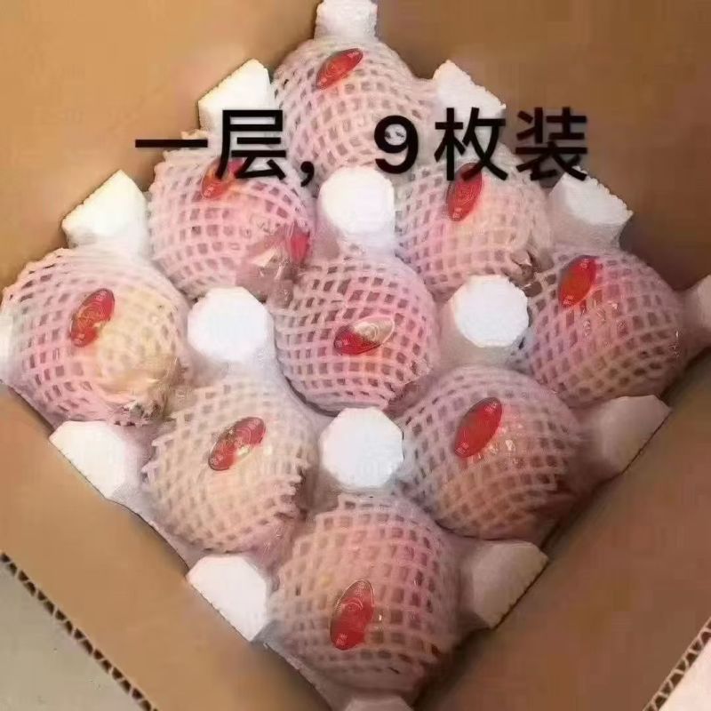 正宗临潼石榴