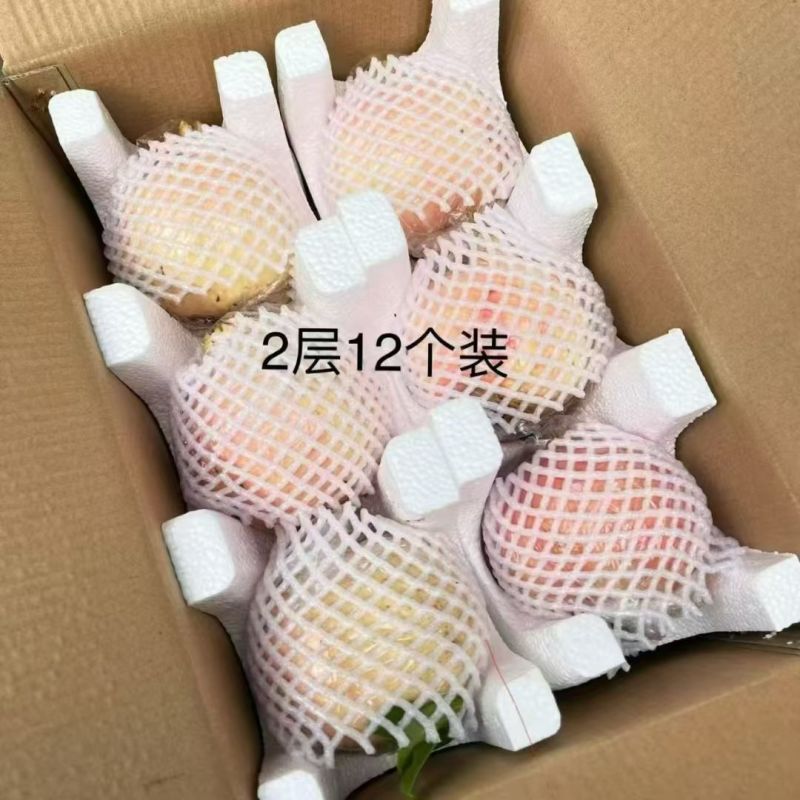 正宗临潼石榴