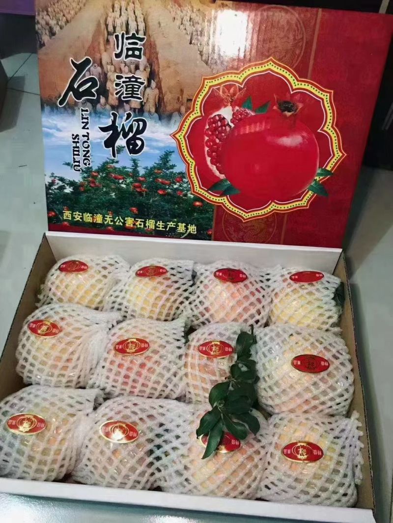 正宗临潼石榴