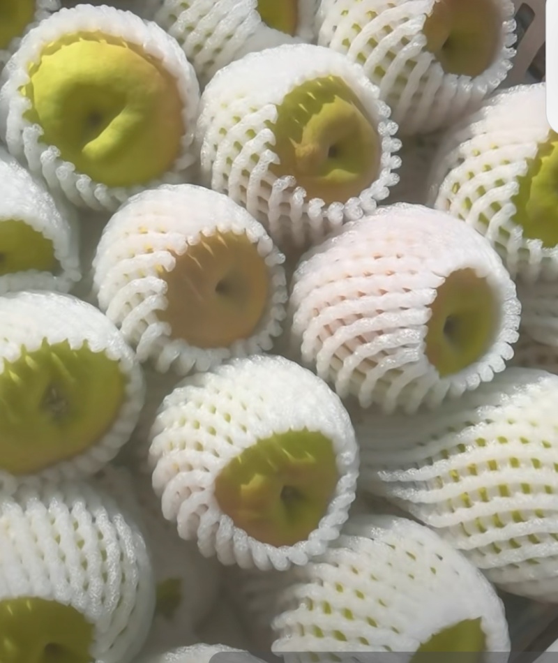 新疆库尔勒香梨
