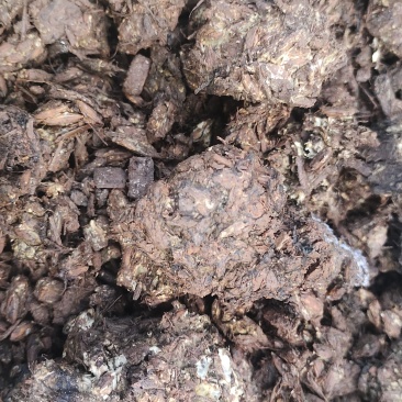 香菇成品料，今年钱不好赚，能省就省业省事，需要的直接联系