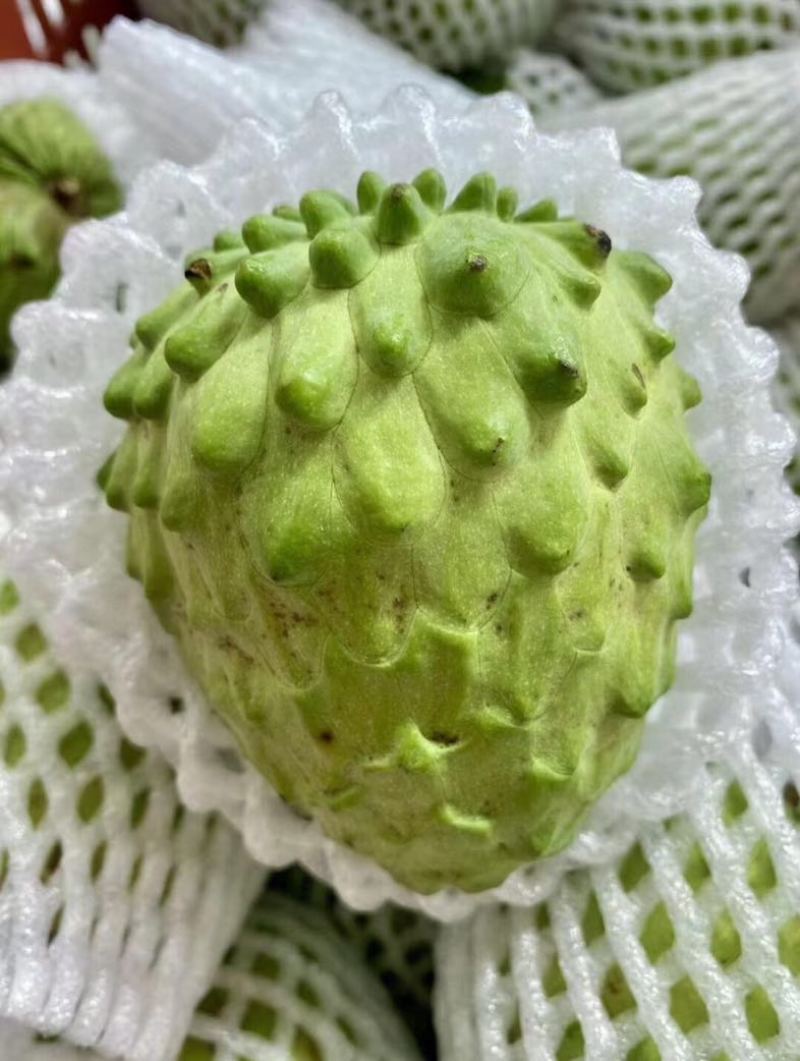 广东释迦果
