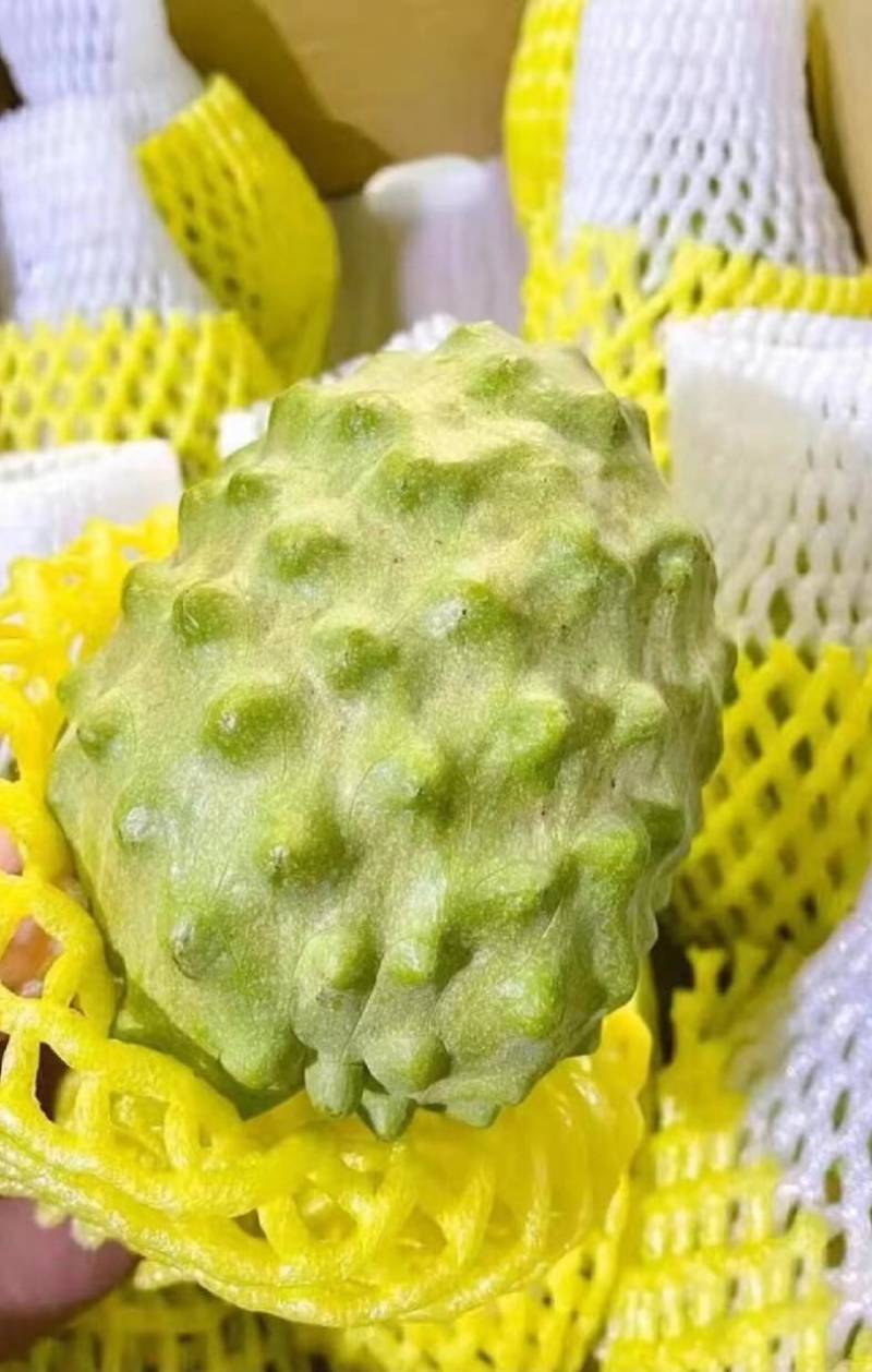 广东释迦果