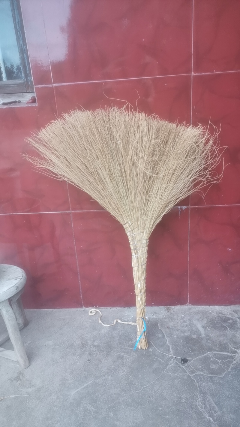 铁树扫把，金丝草扫把源头产地批发不包邮。量大从优