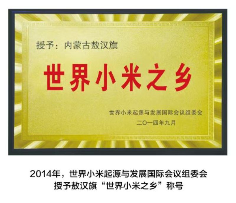金苗k1，大金苗