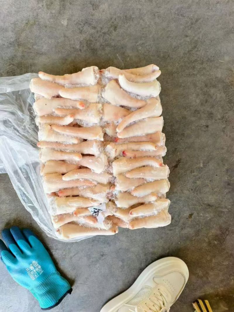 中猪短尾厂家直销山东发货质量保证价格便宜