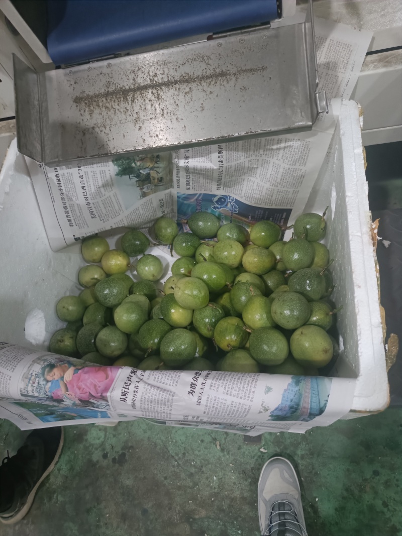 广西钦蜜9号百香果电商果含税包售后全规格一件代发
